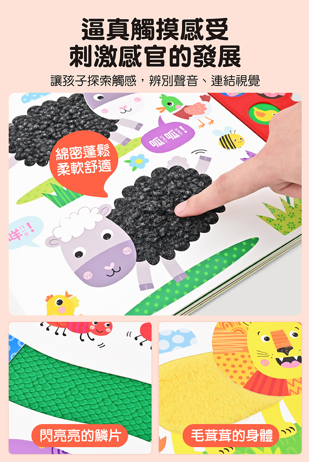 感官觸摸毛毛有聲書 感官觸摸毛毛有聲書